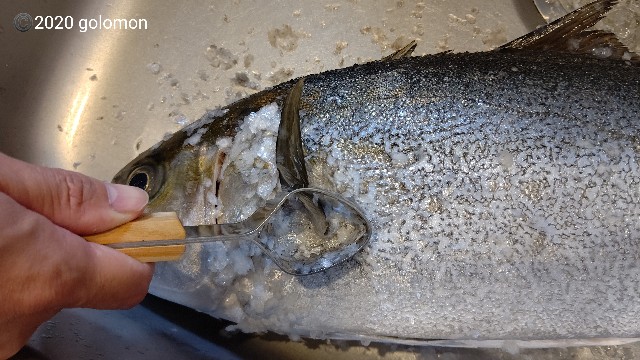 Kan うろこ取り 新案うろことり 日本製 魚下処理セット 大放出セール 新案うろことり