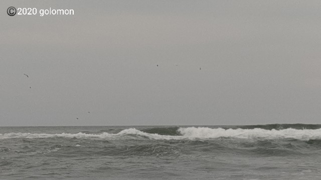 f:id:golomon:20201004160446j:image