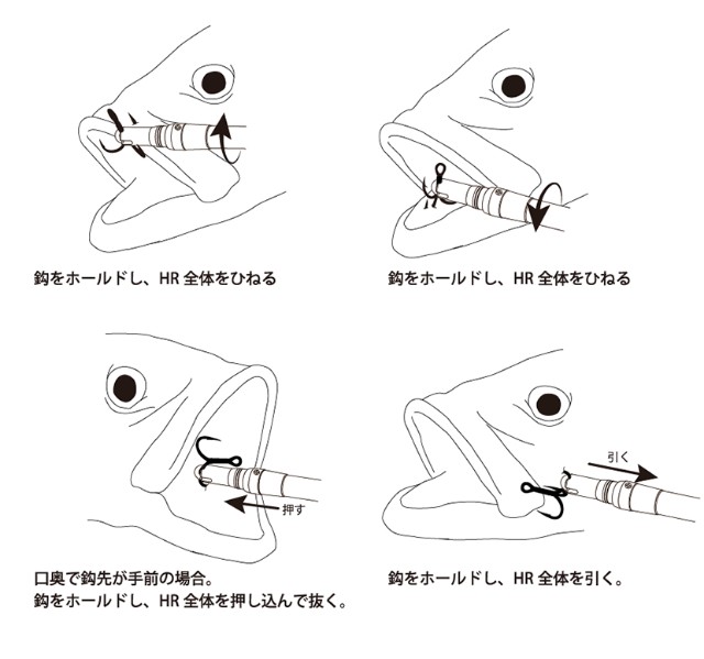 f:id:golomon:20201025173521j:image