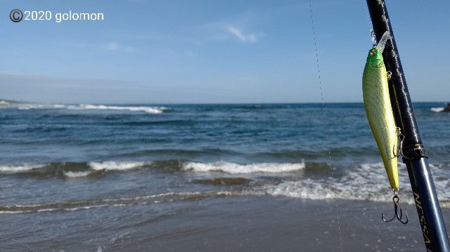 f:id:golomon:20201103113352j:image