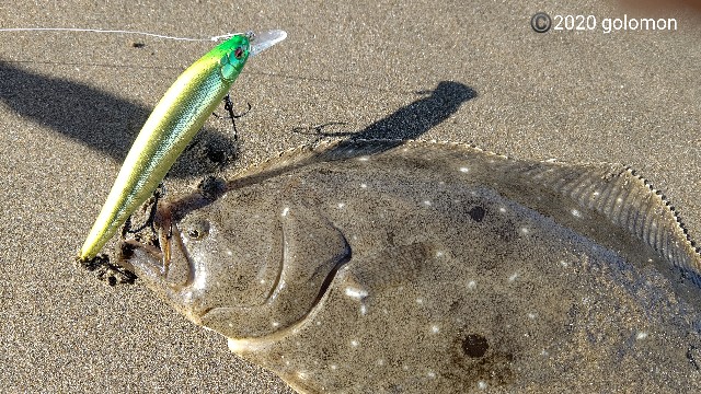 f:id:golomon:20201103113413j:image