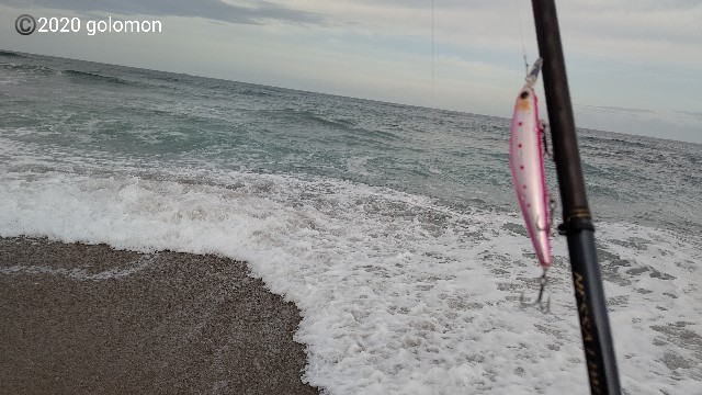 f:id:golomon:20201103113918j:image