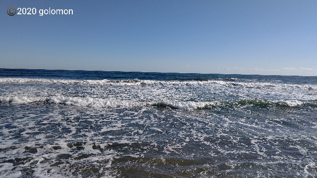 f:id:golomon:20201109110326j:image