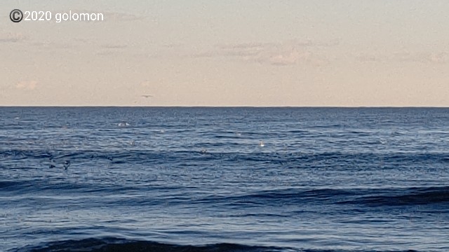 f:id:golomon:20201109110353j:image