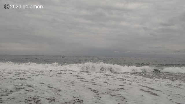f:id:golomon:20201130162703j:image