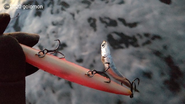 f:id:golomon:20201228123444j:image