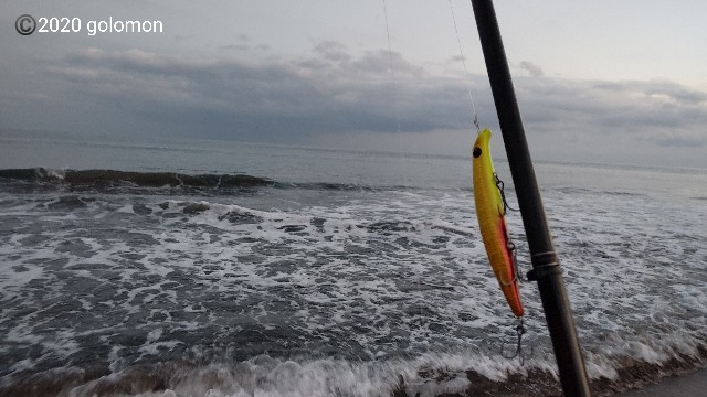 f:id:golomon:20201228123845j:image