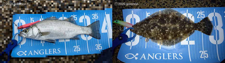 f:id:golomon:20201230183206p:plain