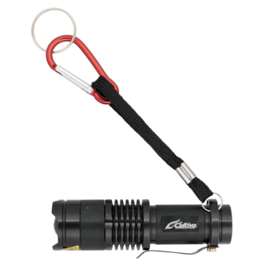 f:id:golomon:20210123201210p:plain