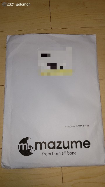 f:id:golomon:20210127195524j:image f:id:golomon:20210127195524j:image