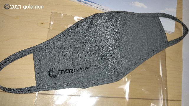 f:id:golomon:20210127203749j:image f:id:golomon:20210127203749j:image