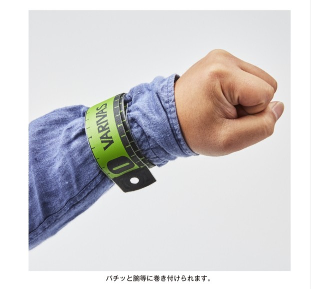 f:id:golomon:20210309191250j:image