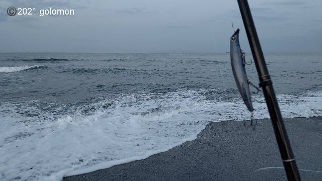 f:id:golomon:20210404123110j:image