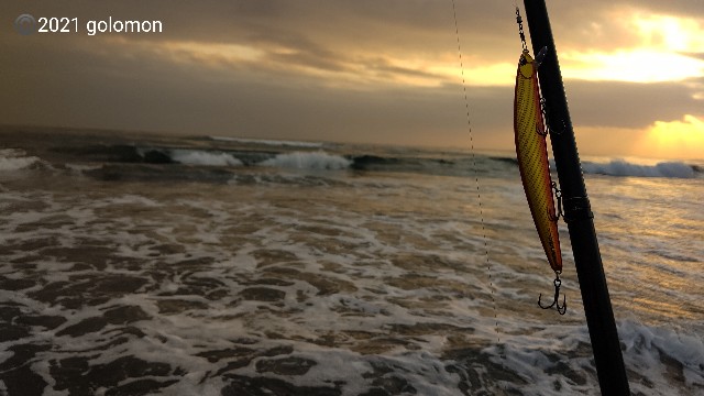 f:id:golomon:20210404123222j:image