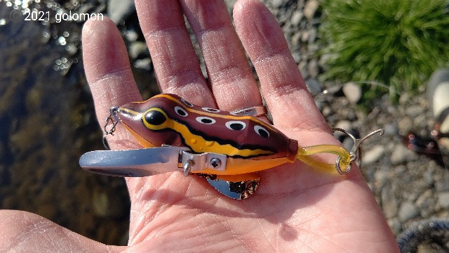 f:id:golomon:20210411221349j:image f:id:golomon:20210411221349j:image