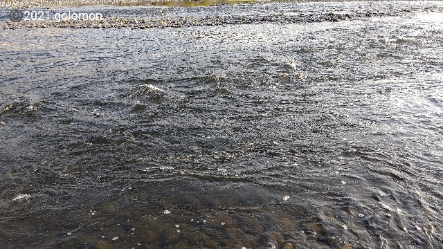 f:id:golomon:20210411221628j:image f:id:golomon:20210411221628j:image