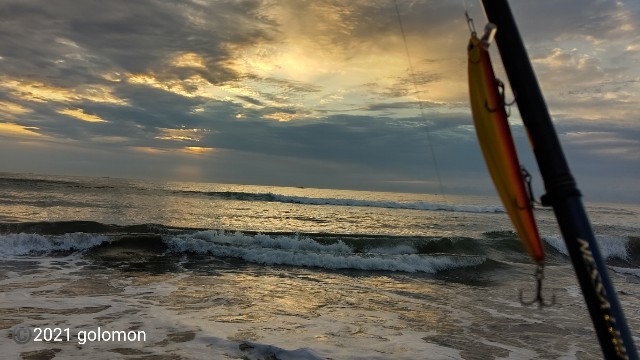 f:id:golomon:20210627135455j:image