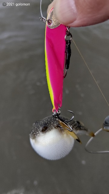 f:id:golomon:20210701095734j:image f:id:golomon:20210701095734j:image