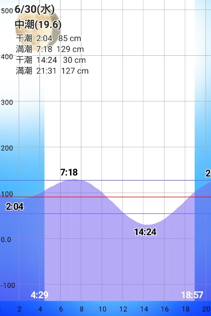 f:id:golomon:20210701112503j:image f:id:golomon:20210701112503j:image