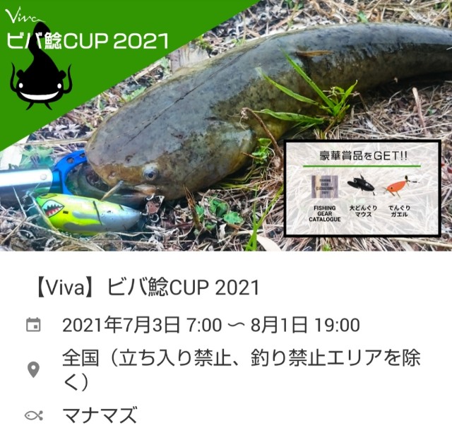 f:id:golomon:20210704185838j:image