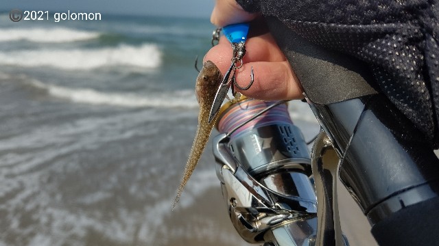 f:id:golomon:20210711121943j:image f:id:golomon:20210711121943j:image