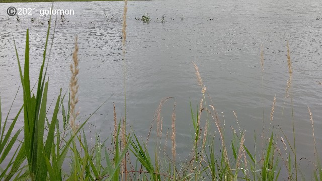 f:id:golomon:20210718195326j:image f:id:golomon:20210718195326j:image