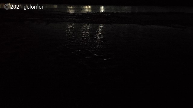 f:id:golomon:20210726221015j:image