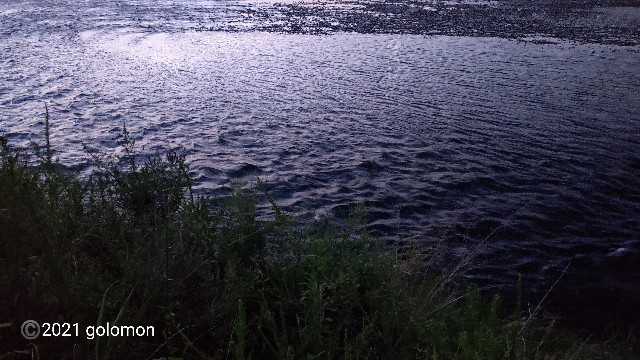 f:id:golomon:20210801155528j:image