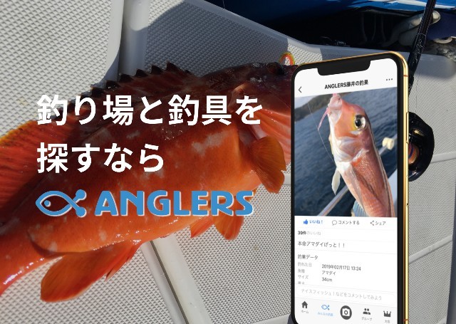 f:id:golomon:20210807181419j:image