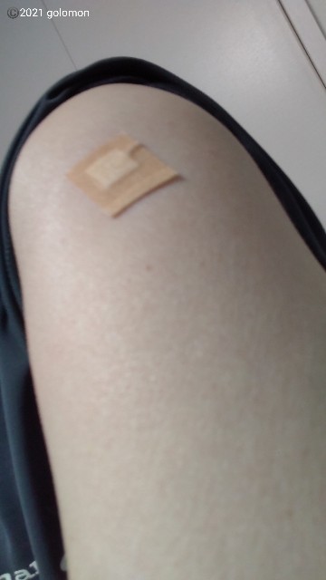 f:id:golomon:20210815134315j:image f:id:golomon:20210815134315j:image