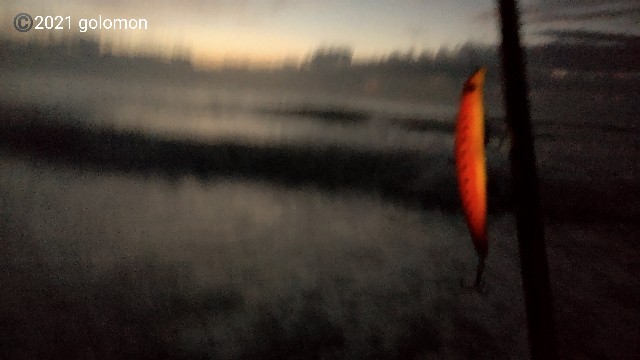 f:id:golomon:20211010150518j:image