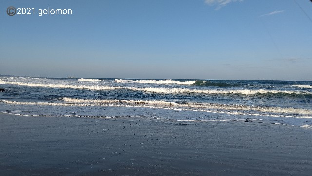 f:id:golomon:20211103160828j:image