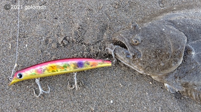 鹿島灘サーフ釣行～2021年11月13日 - 釣りバカに捧げる日記