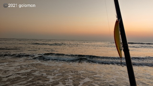 f:id:golomon:20211121124505j:image f:id:golomon:20211121124505j:image