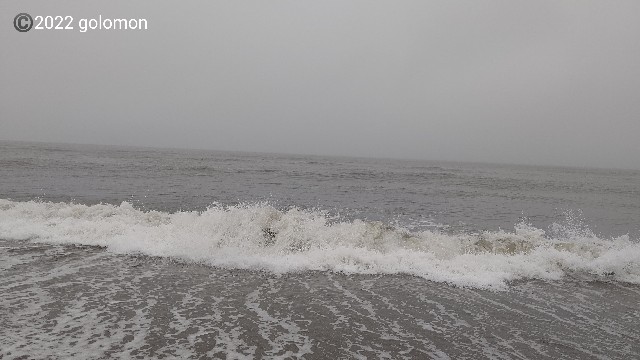 f:id:golomon:20220424125352j:image f:id:golomon:20220424125352j:image