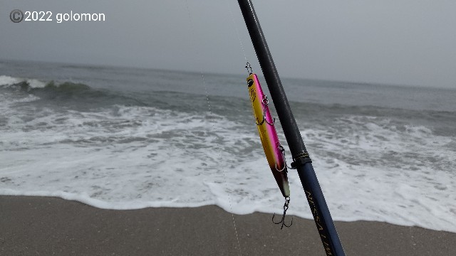 f:id:golomon:20220424125445j:image f:id:golomon:20220424125445j:image