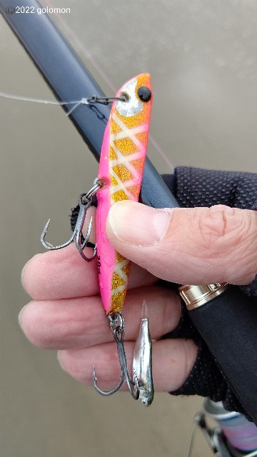 f:id:golomon:20220424125525j:image f:id:golomon:20220424125525j:image