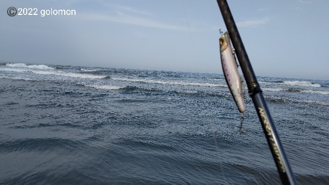 f:id:golomon:20220424125633j:image f:id:golomon:20220424125633j:image