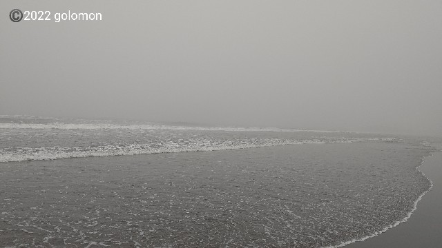 f:id:golomon:20220424125712j:image f:id:golomon:20220424125712j:image