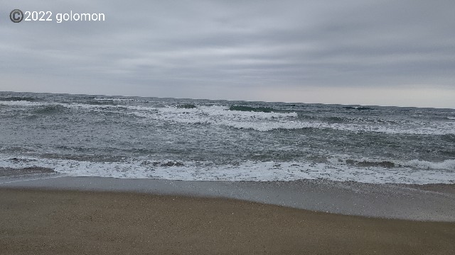 f:id:golomon:20220516102258j:image