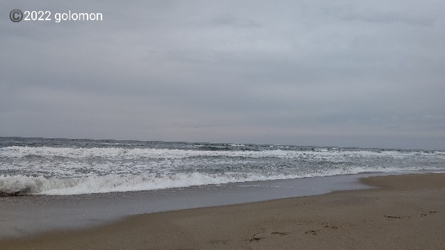 f:id:golomon:20220516102346j:image
