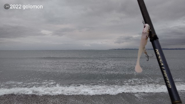 f:id:golomon:20220608083517j:image