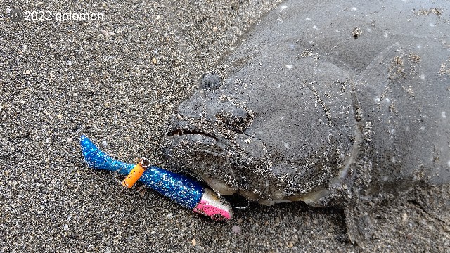 f:id:golomon:20220612111247j:image f:id:golomon:20220612111247j:image