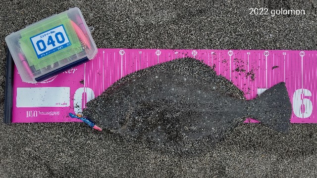 f:id:golomon:20220612111755j:image f:id:golomon:20220612111755j:image