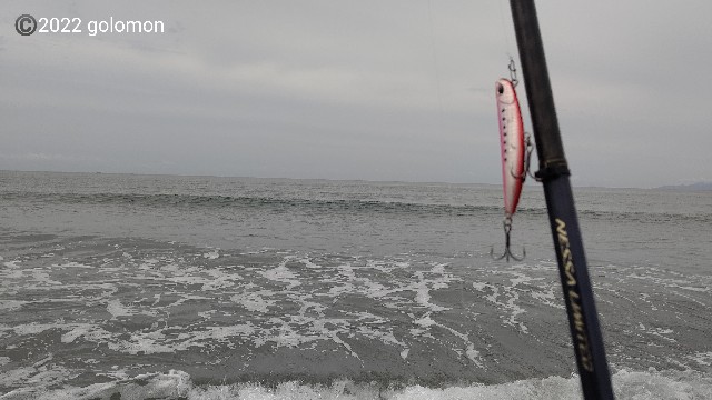 f:id:golomon:20220612112010j:image f:id:golomon:20220612112010j:image