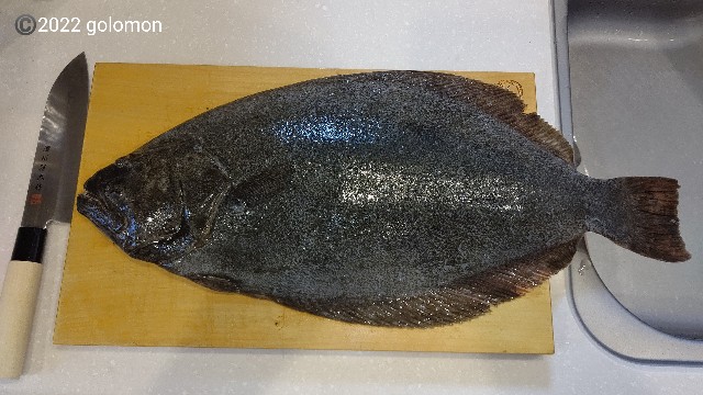 f:id:golomon:20220612112019j:image f:id:golomon:20220612112019j:image