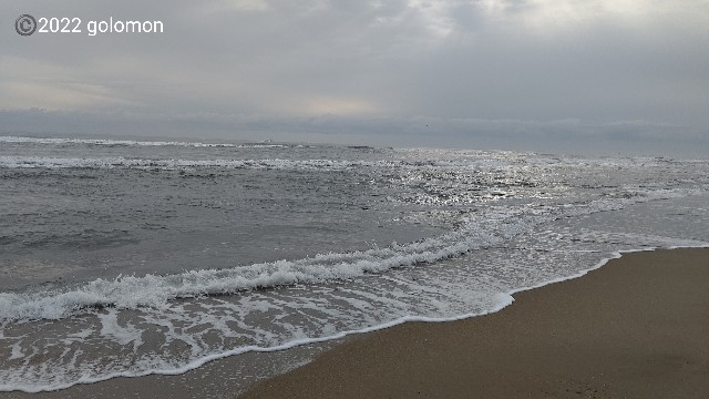 f:id:golomon:20221023213659j:image