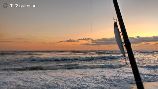 f:id:golomon:20221113112837j:image