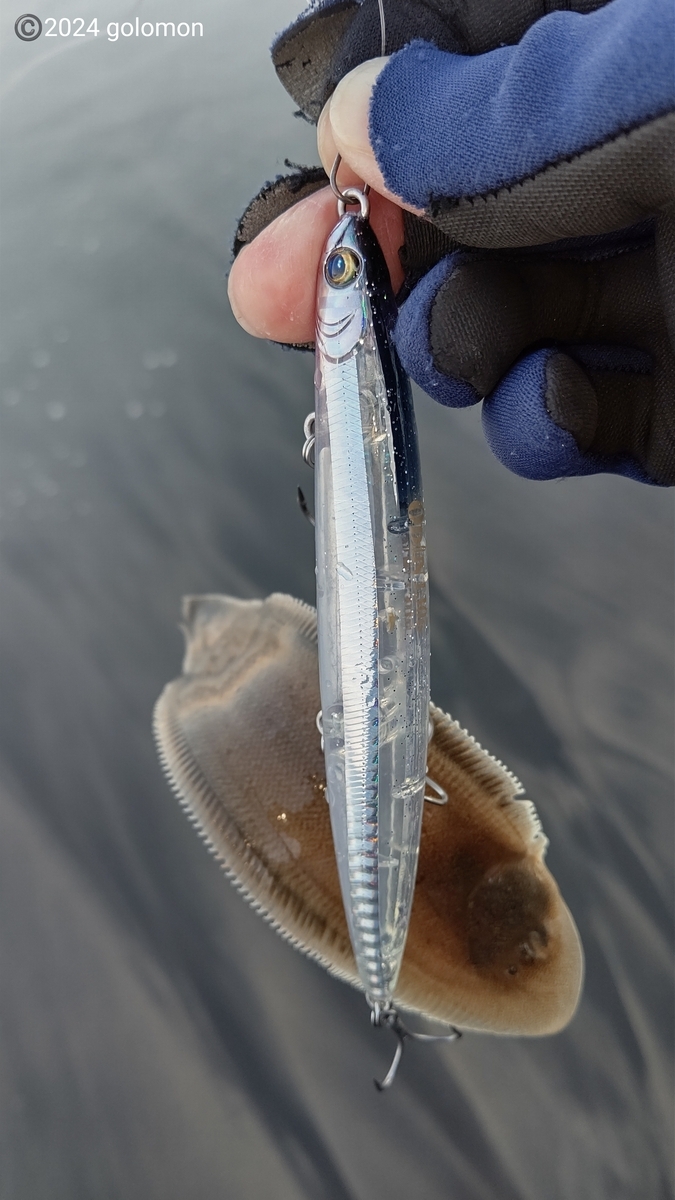 鹿島灘サーフ釣行～2024年11月22日 - 釣りバカに捧げる日記～喰らえ