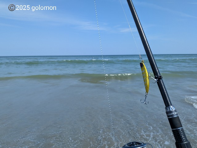f:id:golomon:20250705173216j:image